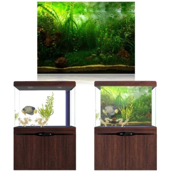 Tło do akwarium samoprzylepne 122x46 cm - zielone glony [13180000410]